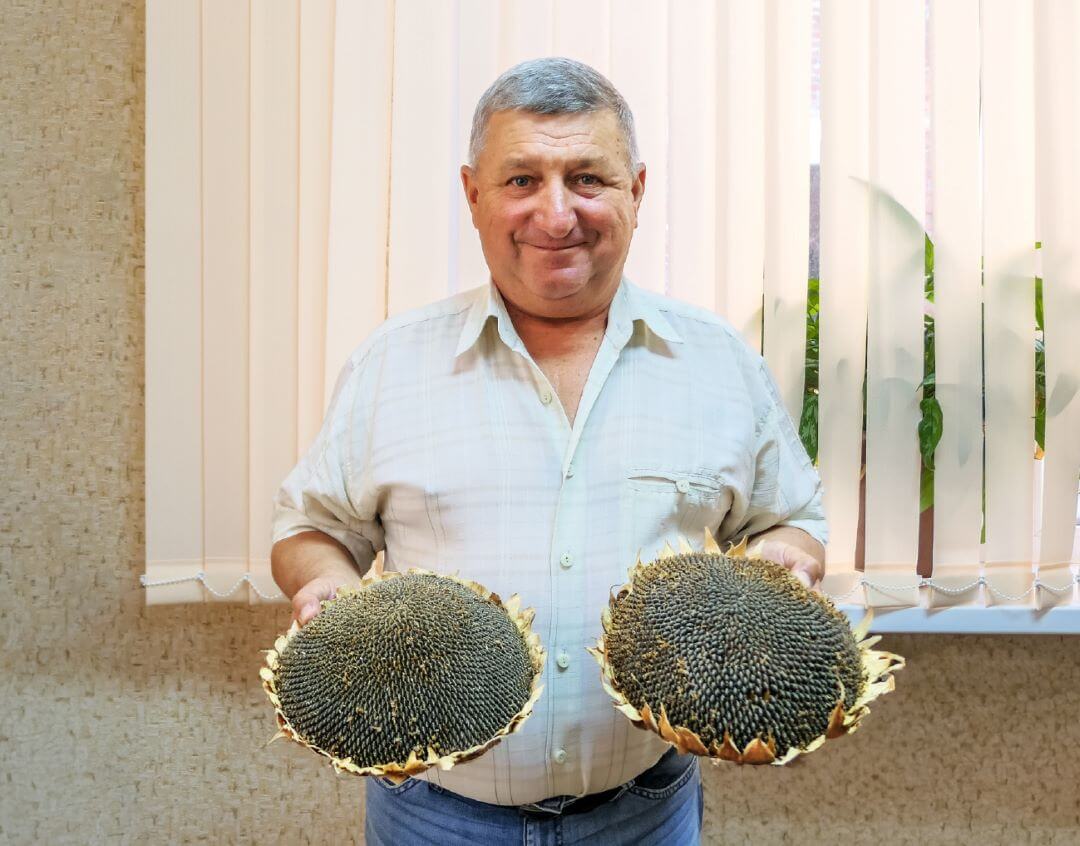 А. А. Децина А. А. Децина
